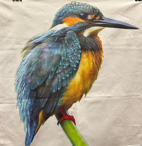 Kingfisher Panel Right Facing ONLY.