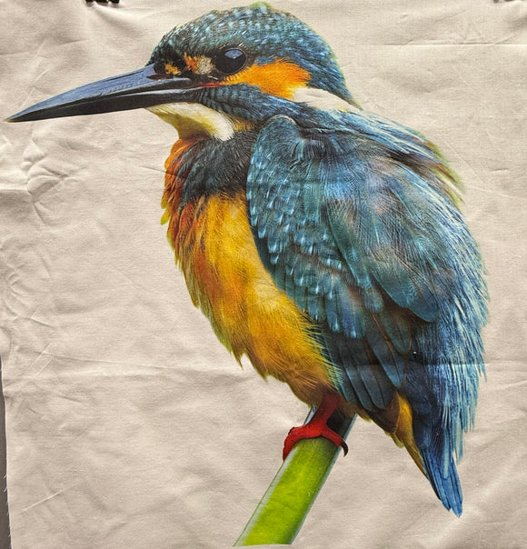 Kingfisher Panel Left Facing ONLY.