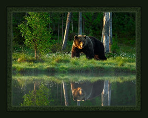 Big Bear Lake Quilt Panel Set