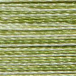 Isacord Variegated 1000M-Limeade Thread